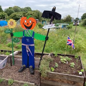 A pumpkin headed scarecrow carved out of wood stands in the middle of an allotment.